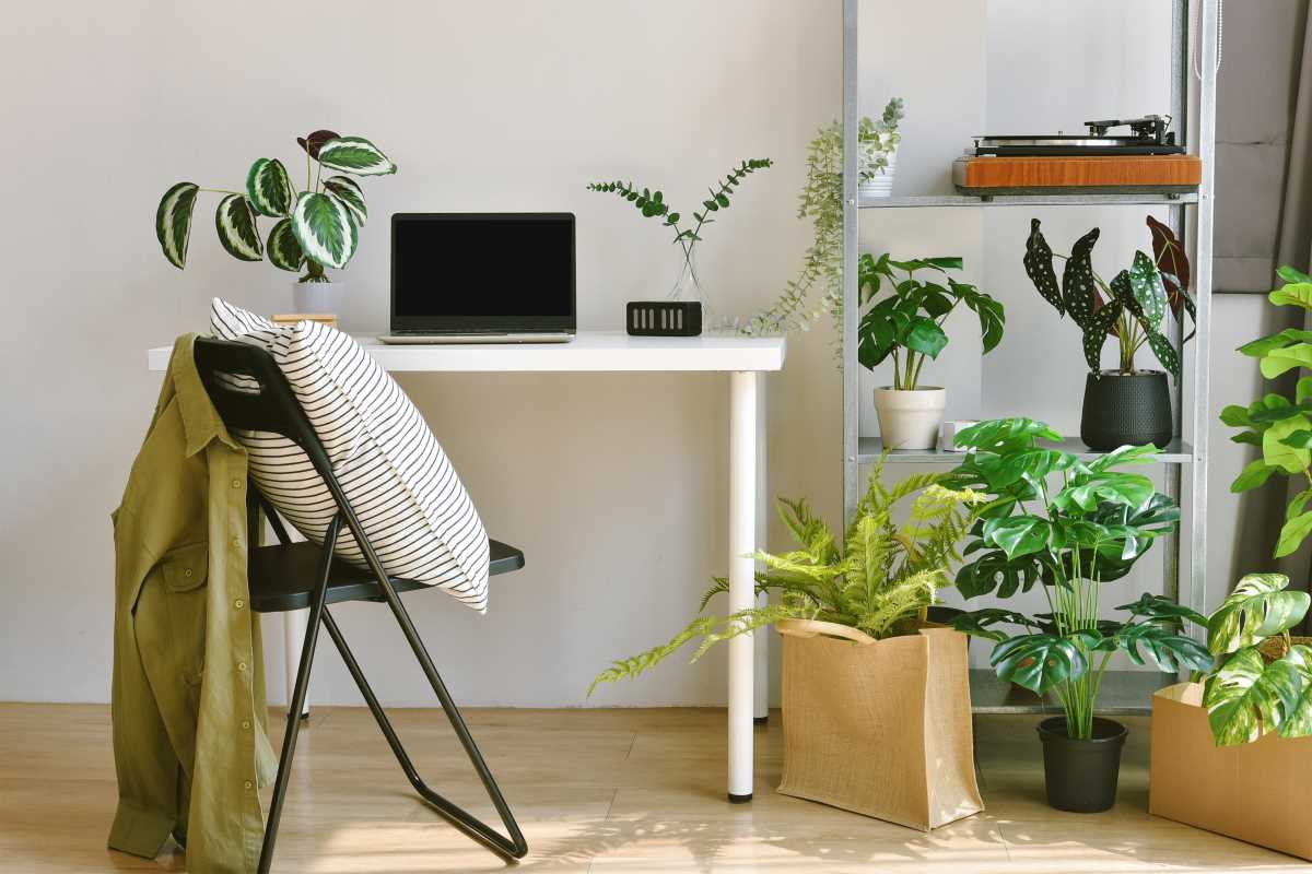 Biophilic Interior Design: Bring Nature Into Your Space
